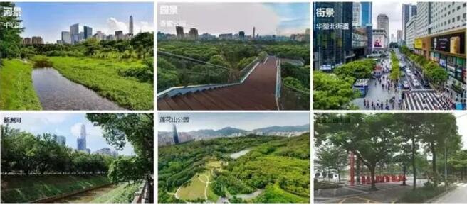 QQ截图20190922010838.jpg